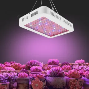 1000W LED Grow Lights
