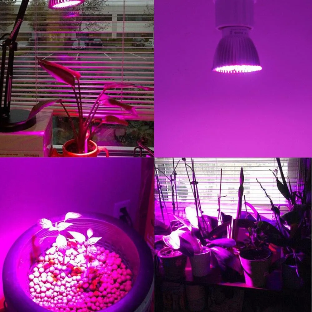 220 V LED Full Spectrum Plant grow light