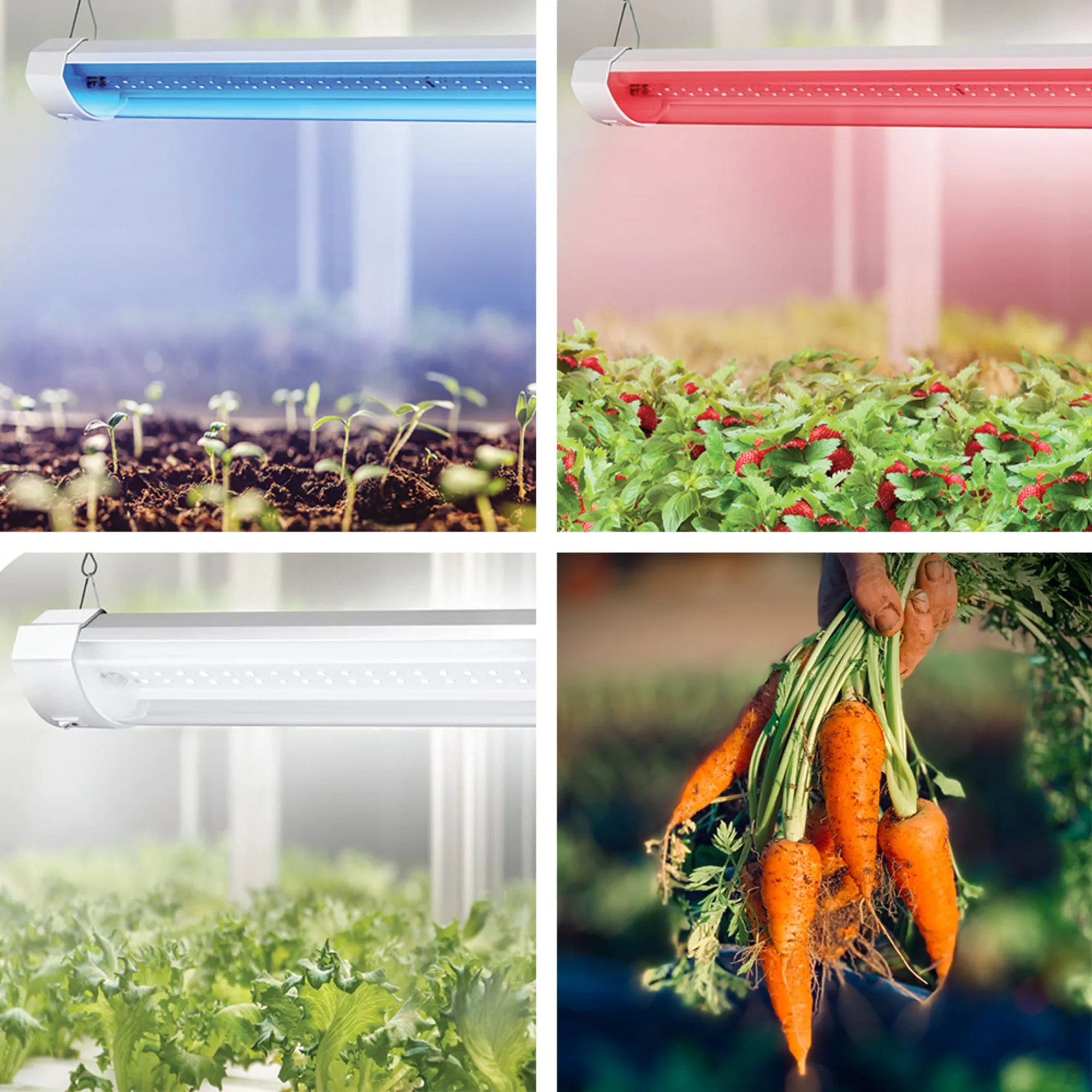 24 in. 24W Adjustable Spectrum LED Grow Light with Remote Control