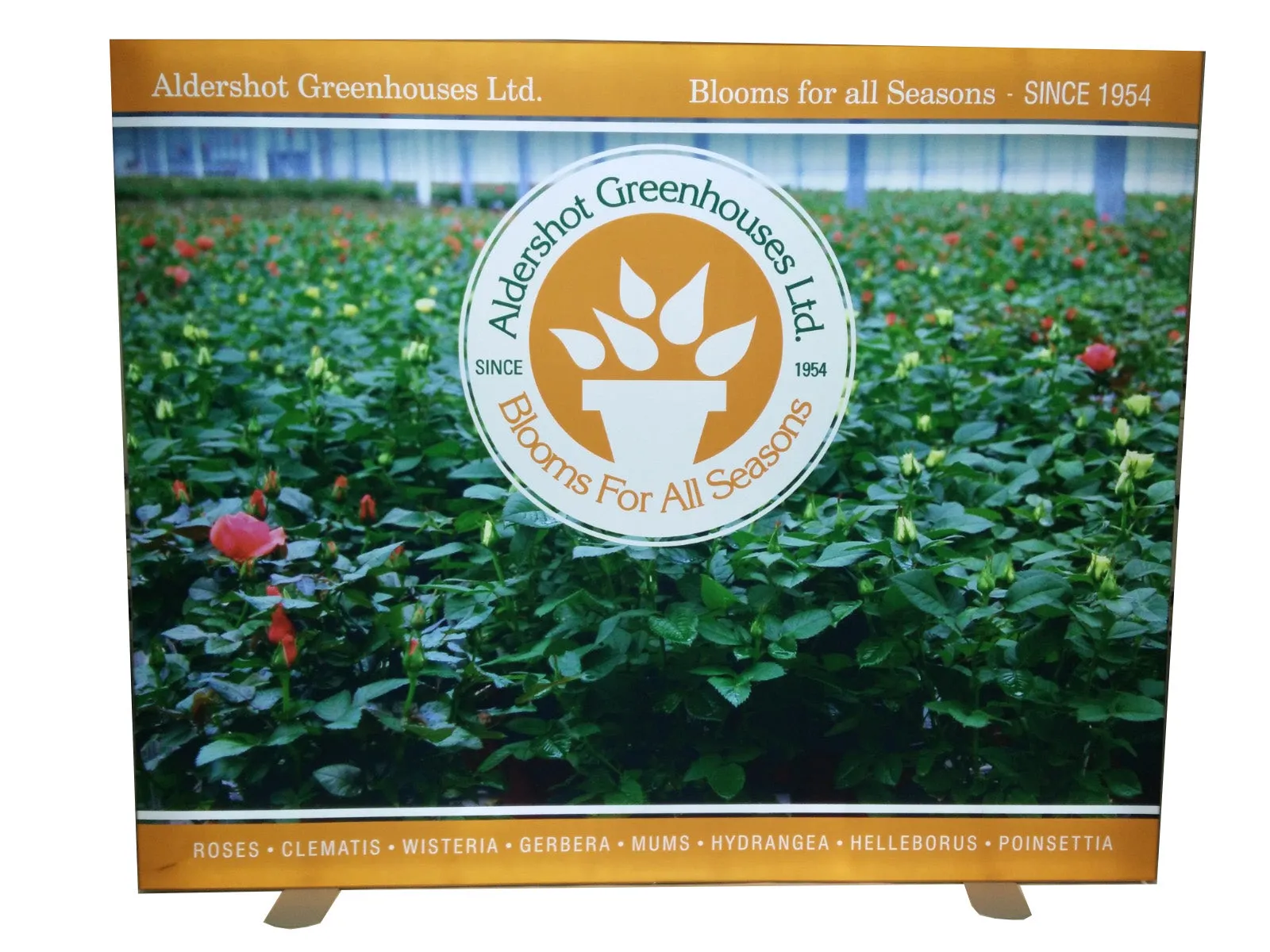 24" x 36" LED Lightbox with SEG Graphics