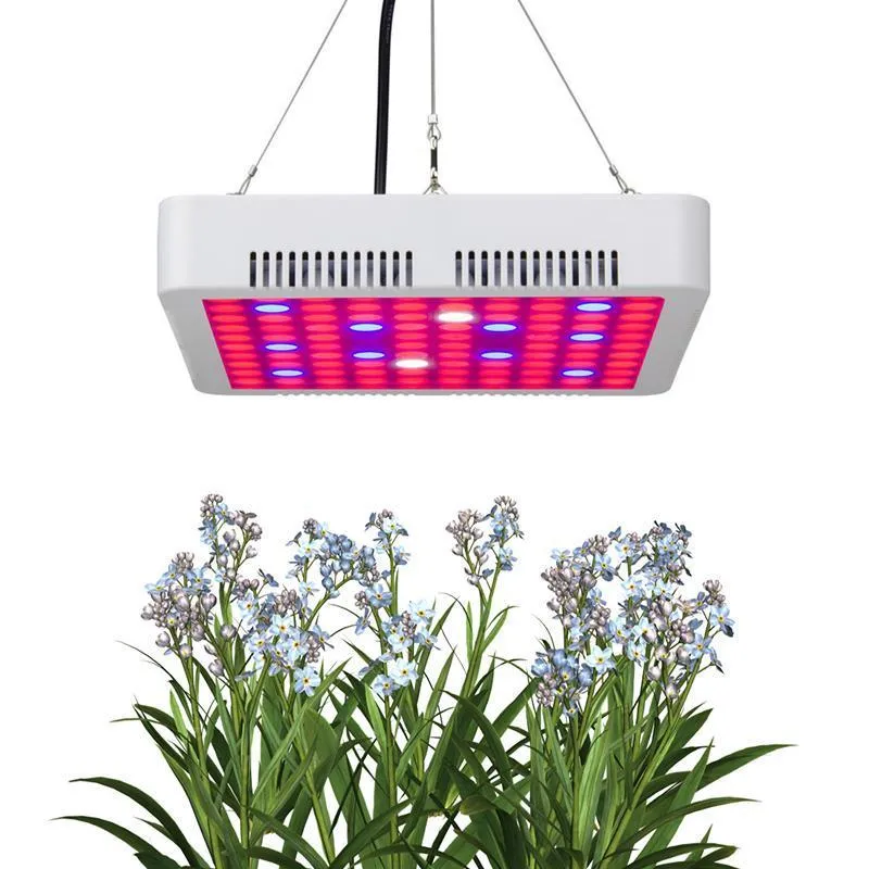 300W/600W Full Spectrum Led Grow Light