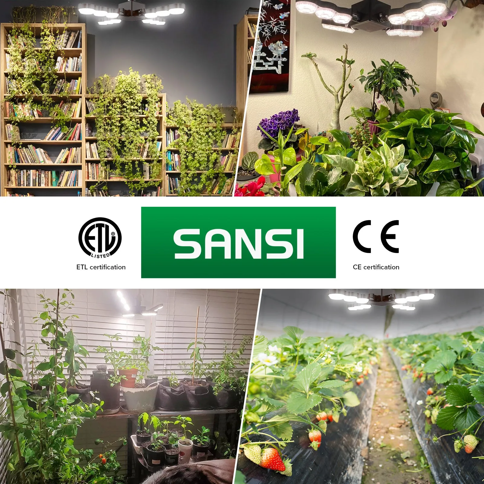 60W LED Grow Light (Folding Wings)