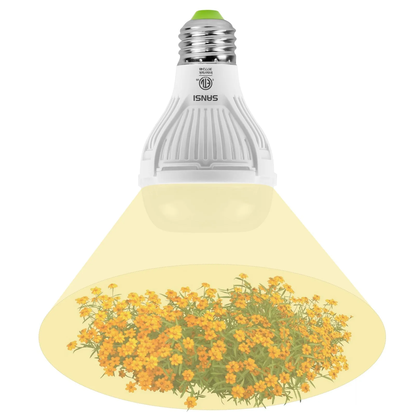 A19 10W LED Grow Light Bulb