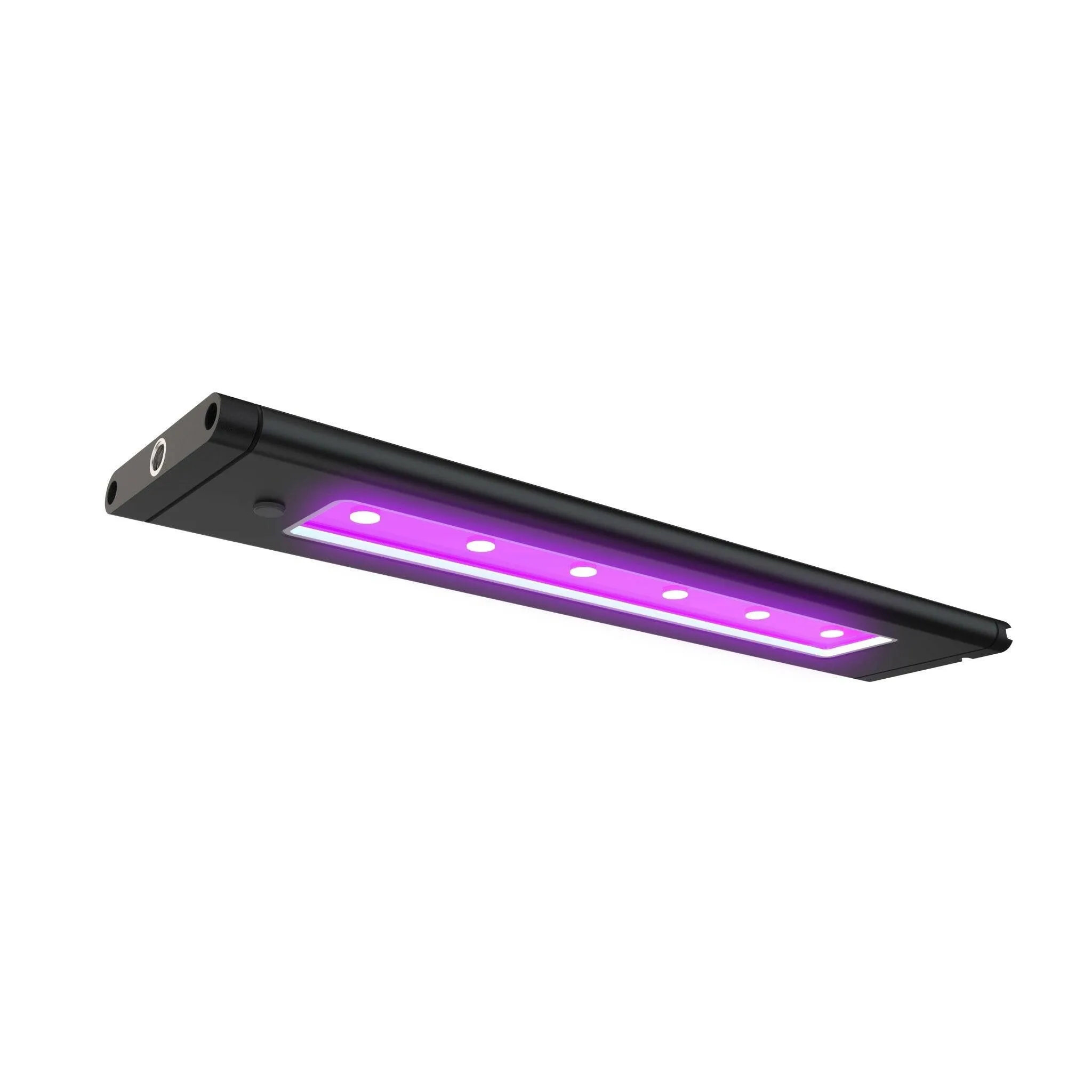 AI Blade Coral Glow LED - 39 Inch