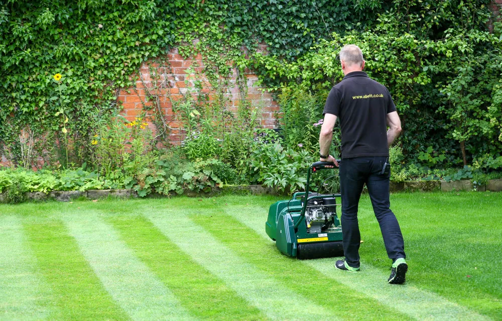 Allett Kensington 14B Petrol Cylinder Mower