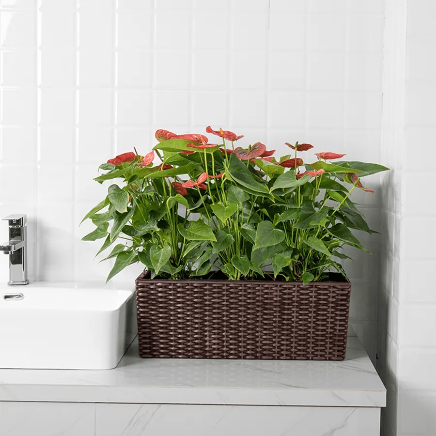 Arphibo Balcony Pot