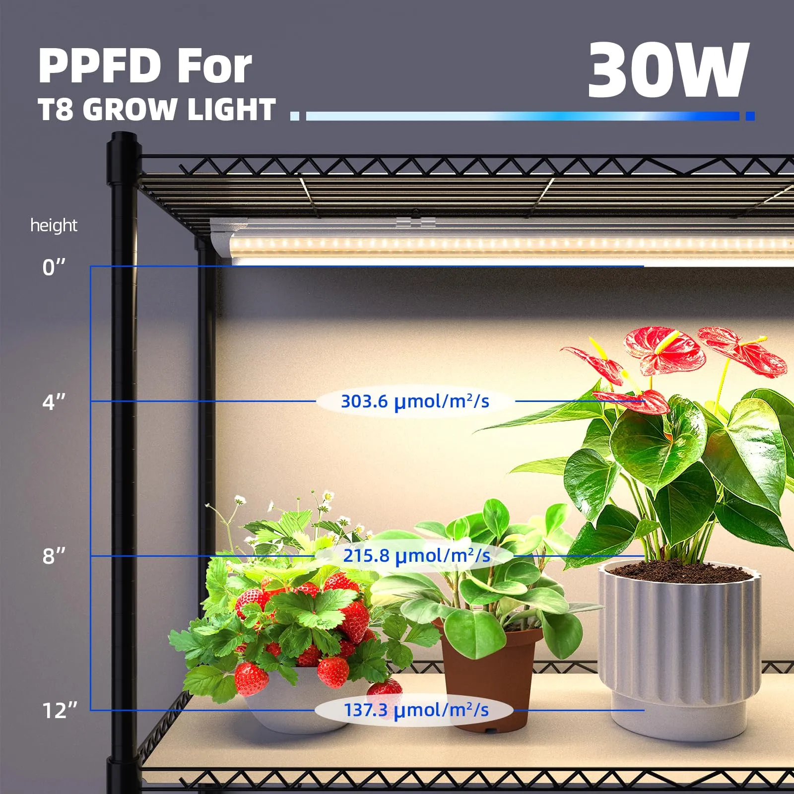 Barrina T8 6-Tier Plant Stand with 5Pcs 30W LED Grow Lights 3FT Yellow Light | Full Spectrum & Settable Timer Socket | QI30
