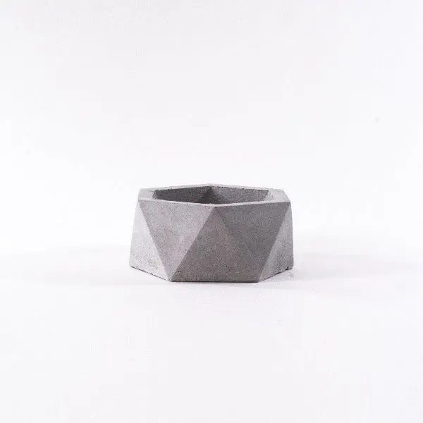 Big Hexagon Concrete Planter
