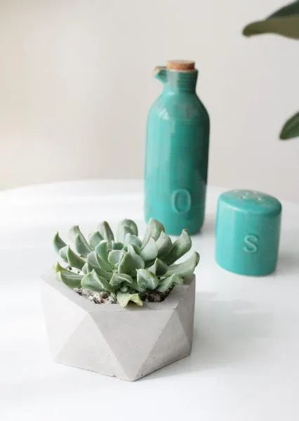 Big Hexagon Concrete Planter