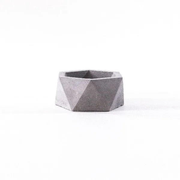 Big Hexagon Concrete Planter