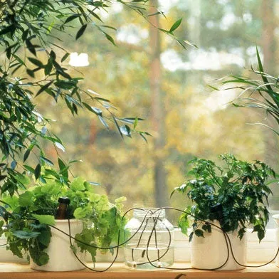 Blumat Automatic Pot Plant Waterers