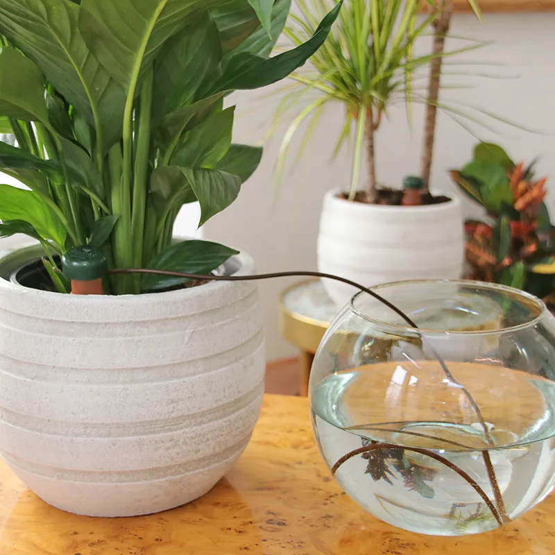 Blumat Automatic Pot Plant Waterers