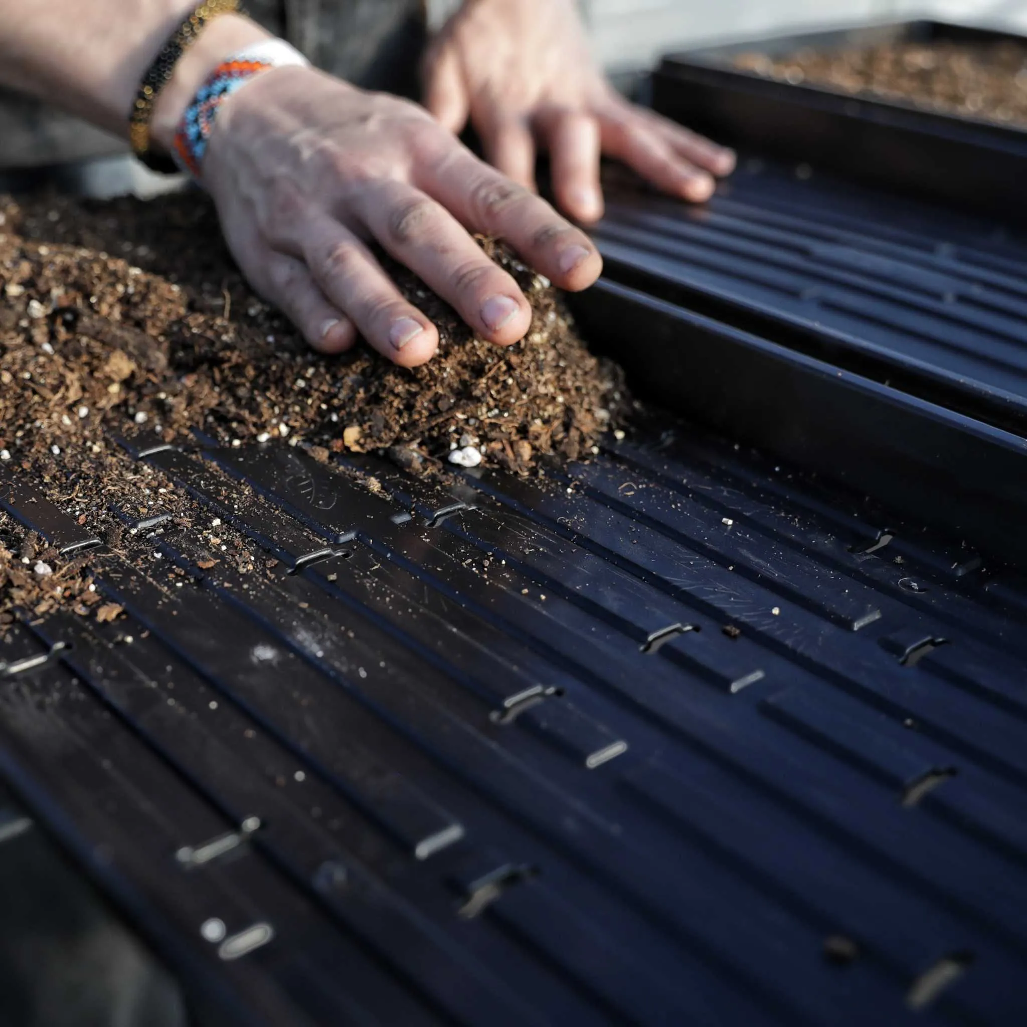 Bootstrap Farmer 1020 Shallow Extra Strength Microgreens Trays | With Holes