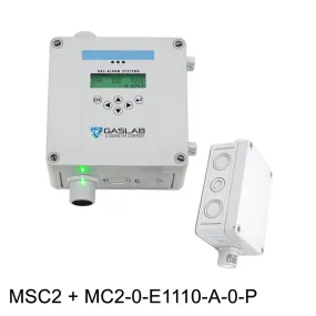 Carbon Monoxide (CO) Fixed Gas Detector w/ Remote Sensor (0-50ppm)