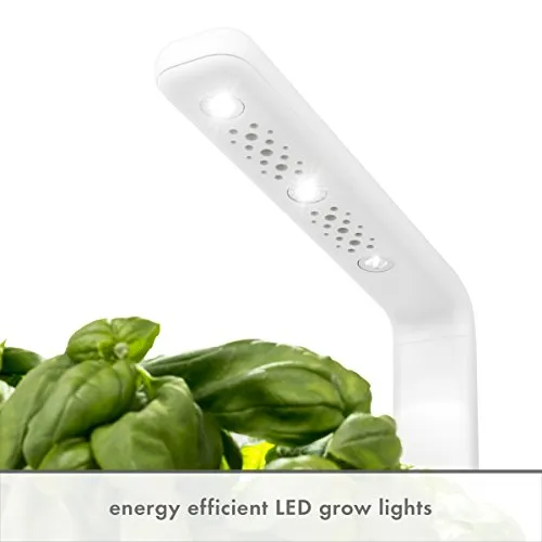 Click & Grow Indoor Herb Garden Kit with Grow Light | Smart Garden for Home Kitchen Windowsill | Easier Than Hydroponics Growing System | Vegetable Gardening Starter (3 Basil Pods Included), White