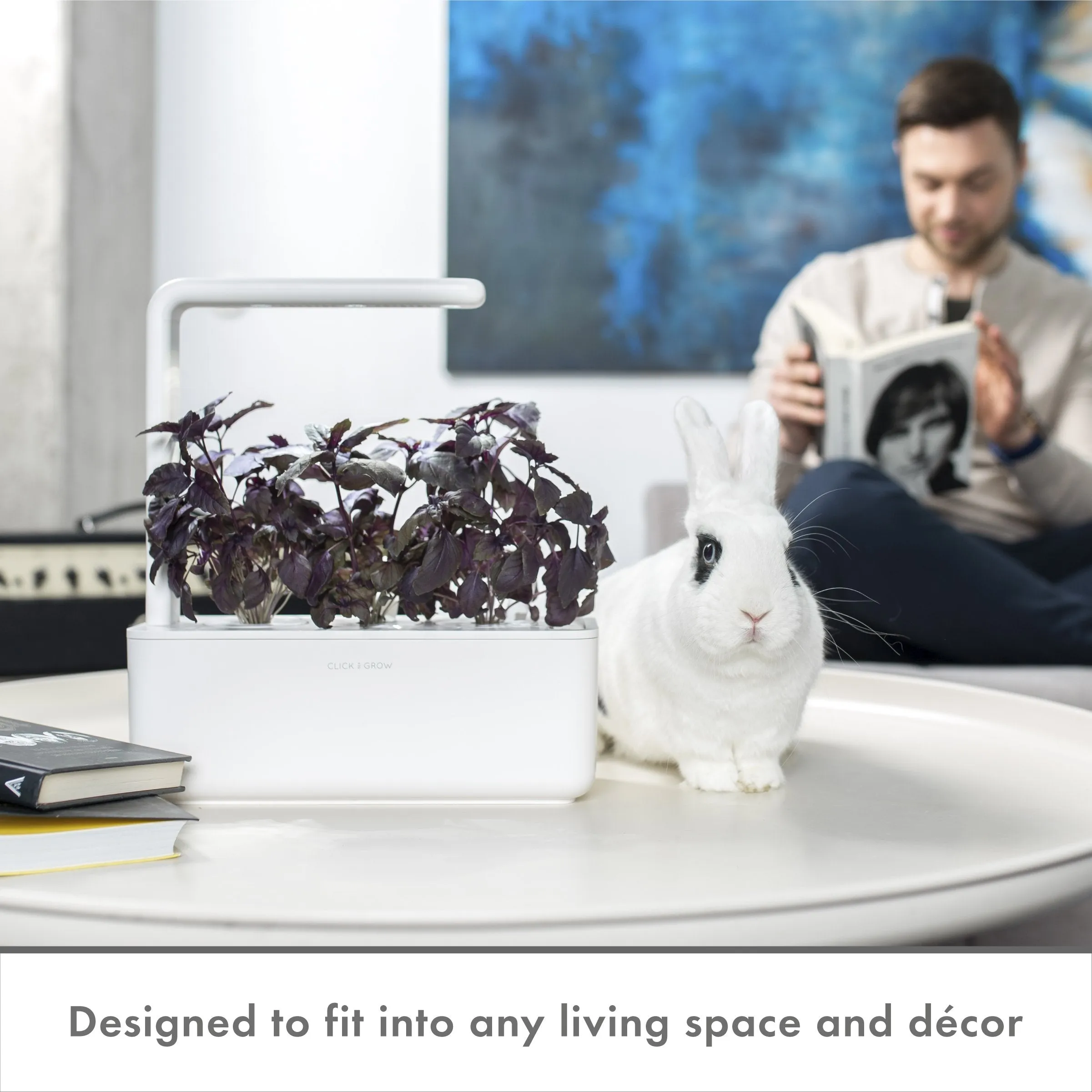 Click and Grow Smart Garden 3 Indoor Gardening Kit (Includes 3 Basil Plant Pods), Grey