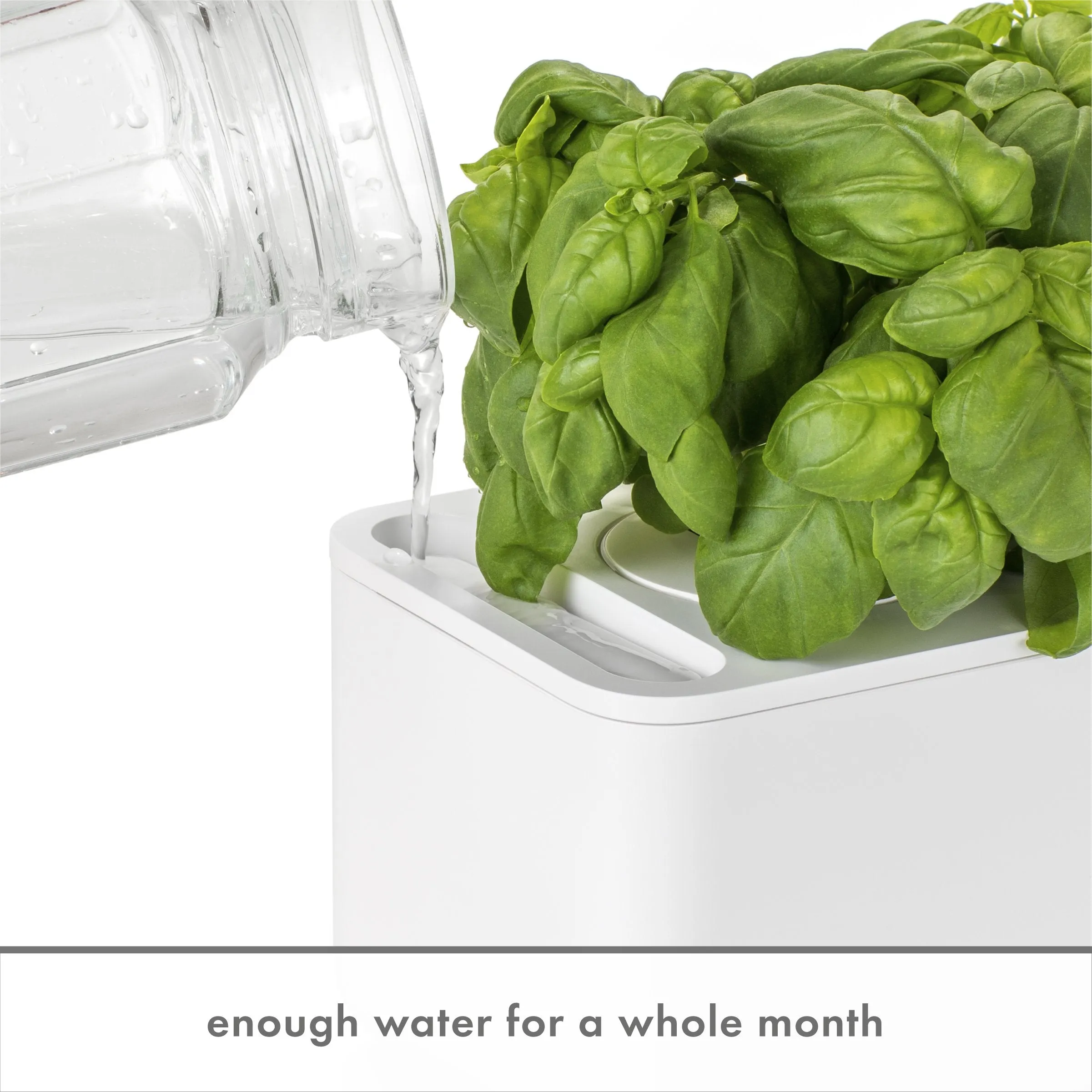 Click and Grow Smart Garden 3 Indoor Gardening Kit (Includes 3 Basil Plant Pods), Grey