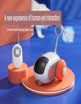 Crazy-Joy Car, Remote Control Electric Cat Toy