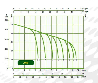 DAB Shallow Well Pumps With Pressure Switch Systems