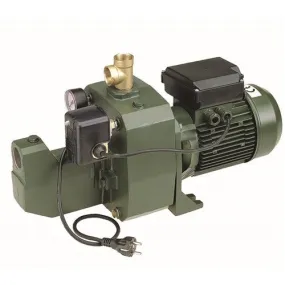 DAB Shallow Well Pumps With Pressure Switch Systems