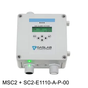 Fixed Carbon Monoxide (CO) Gas Detector (0-50ppm)