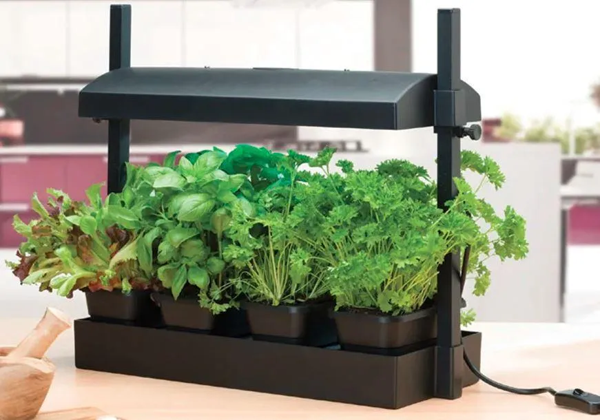 Garland Grow Light Garden - Black 11w