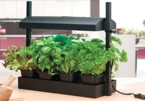 Garland Grow Light Garden - Black 11w