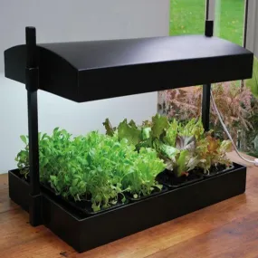 Garland Grow Light Garden - Black 48w