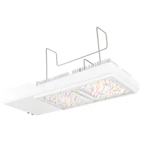 Gavita CT1930e, LED Grow Light, 120-277V