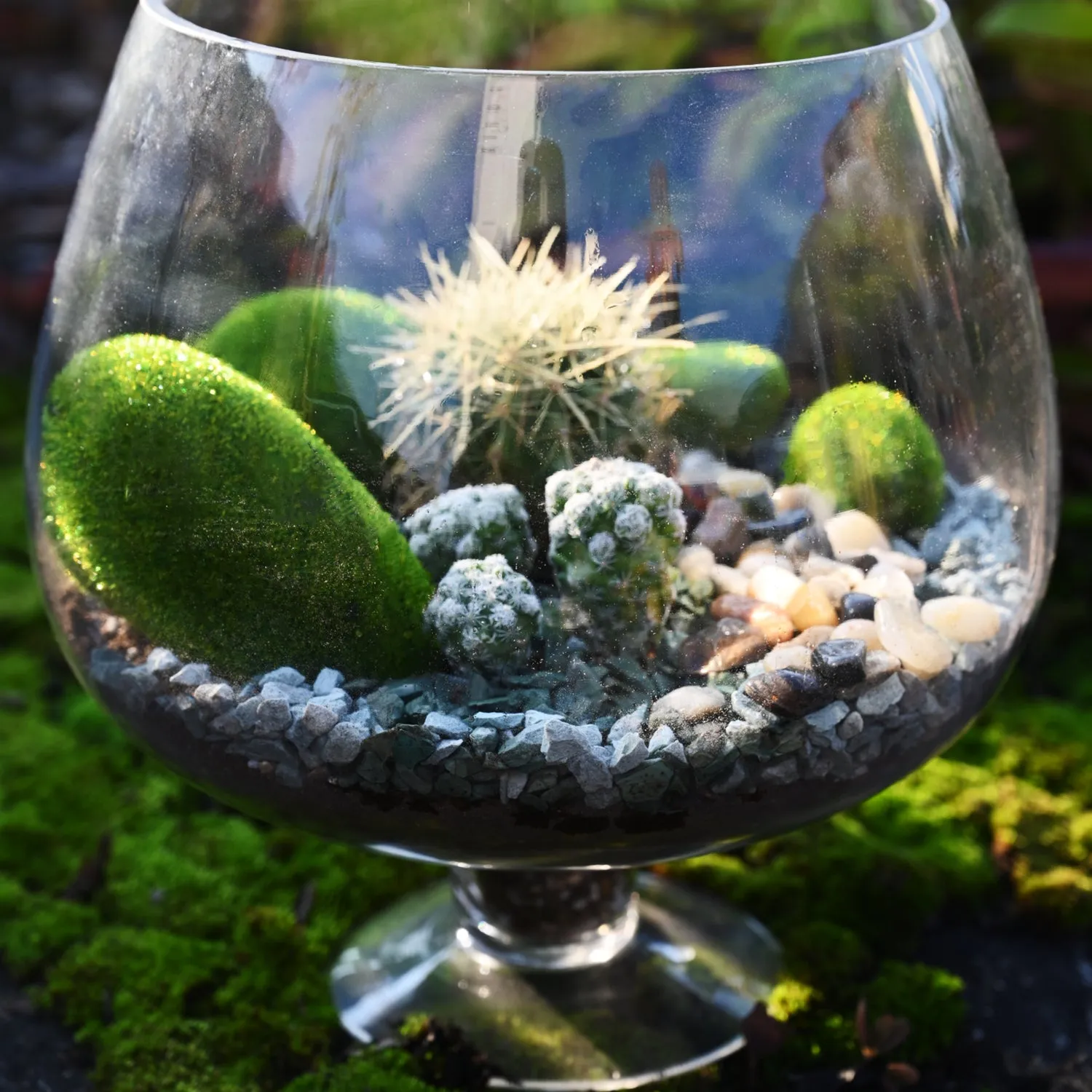 Green Zeolite Rocks for Succulents and Cactus Top Dressing, Soil Amendments