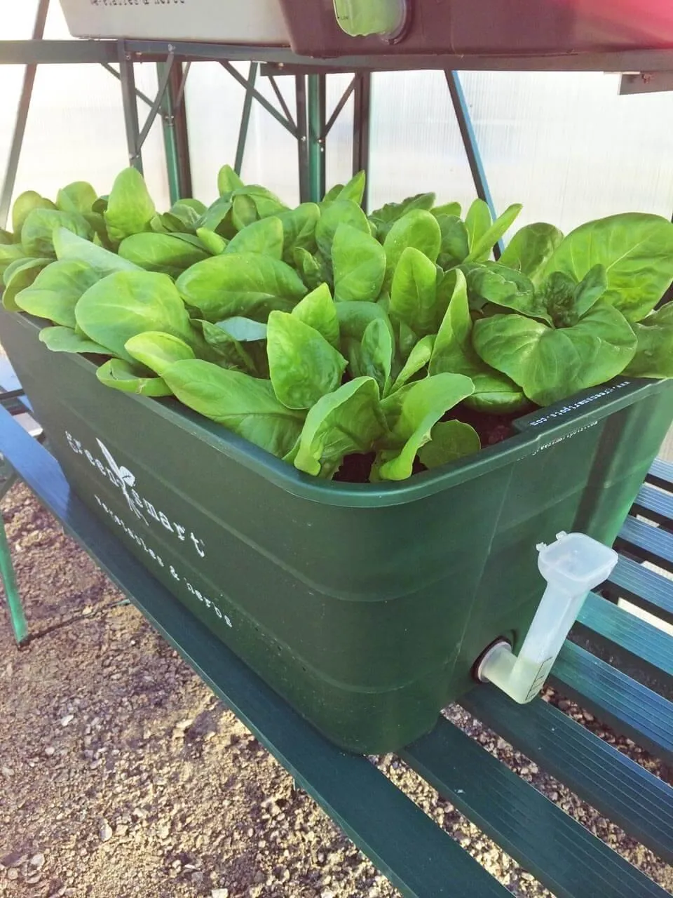 GreenSmart Pot- LARGE