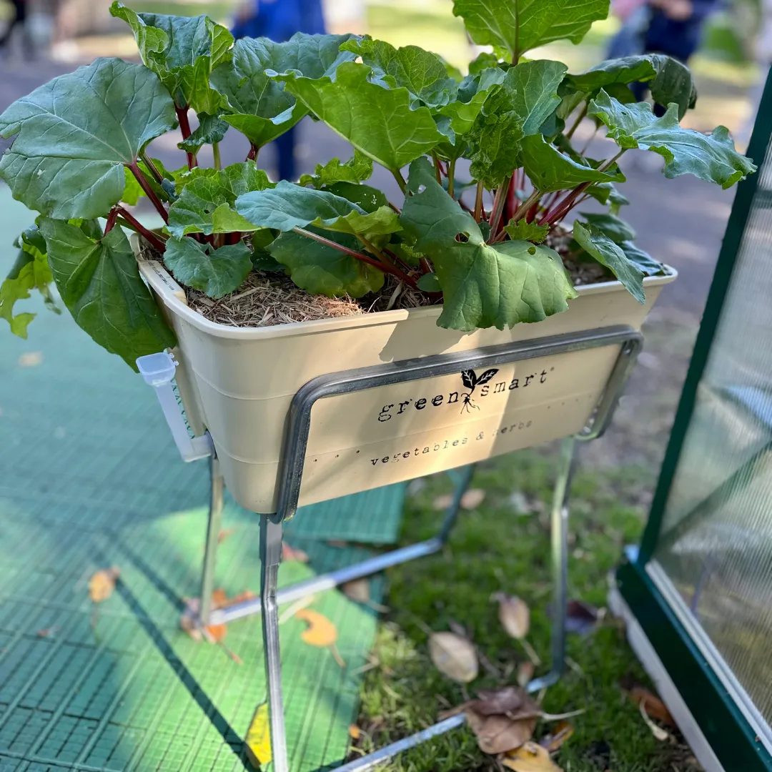 GreenSmart Pot- LARGE