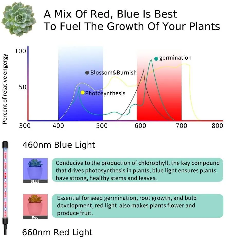 Grow Light Plant Lights for Indoor Plants LED Lamp Bulbs Full Spectrum