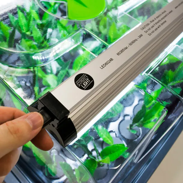 GS LED Grow Light
