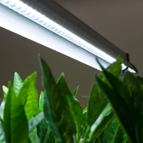 GS LED Grow Light