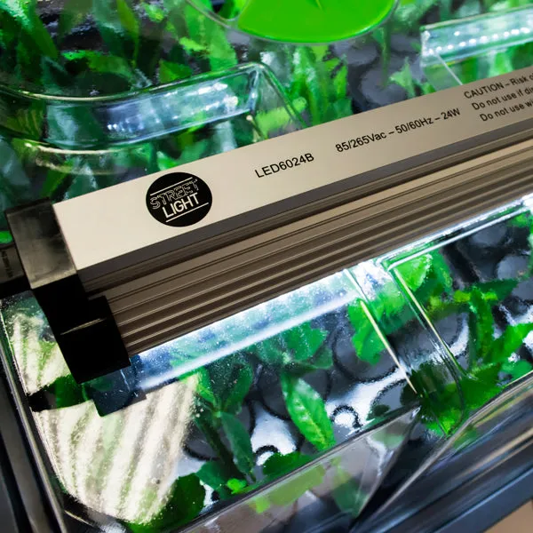 GS LED Grow Light