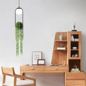Hanging Garden Planter Globe Pendant Light