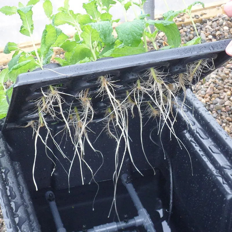 Hydropod Propagator