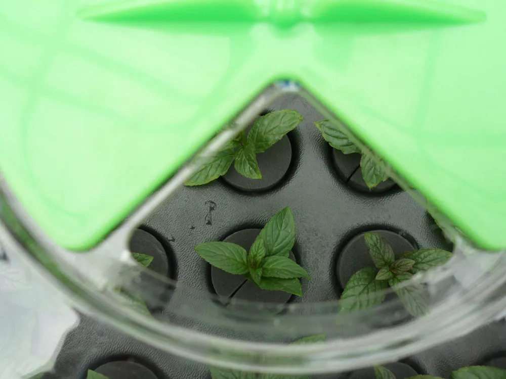 Hydropod Propagator