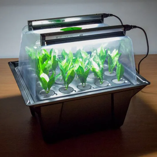 Hydropod Propagator