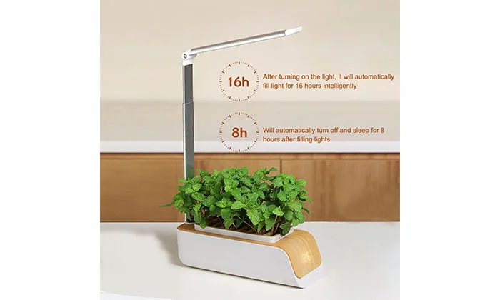 Hydroponics Growing System