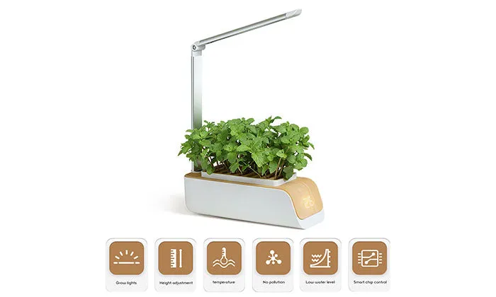 Hydroponics Growing System