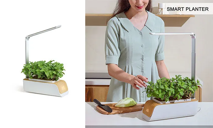Hydroponics Growing System