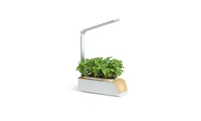 Hydroponics Growing System