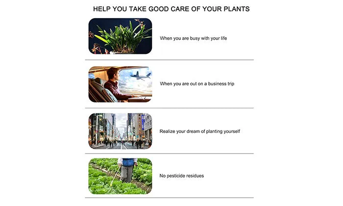 Hydroponics Growing System