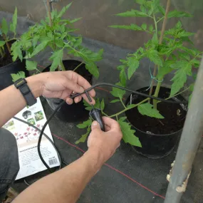 Iriso Watering Kit 12 Plant Kit