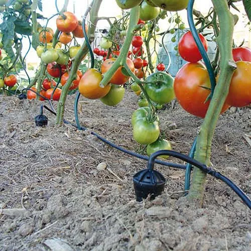 Iriso Watering Kit 20 plant kit