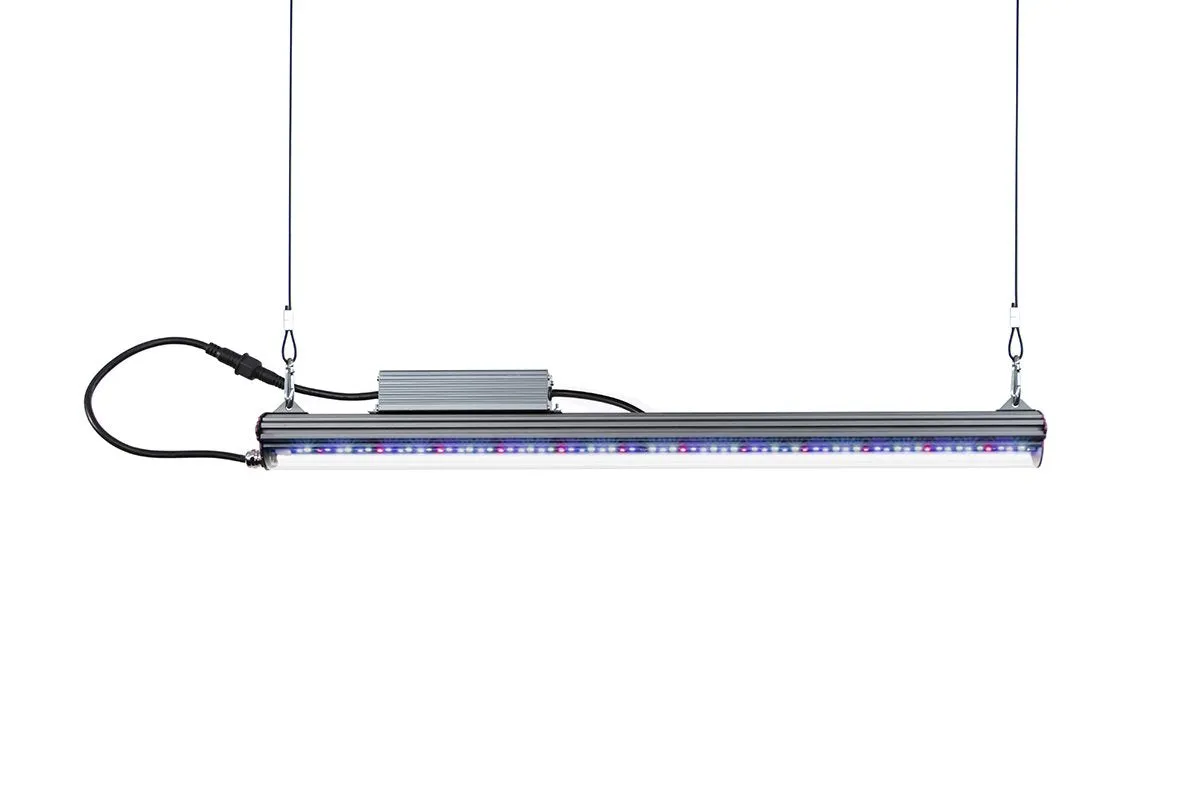 KIND LED Grow Lights X80 Bar Light VEG
