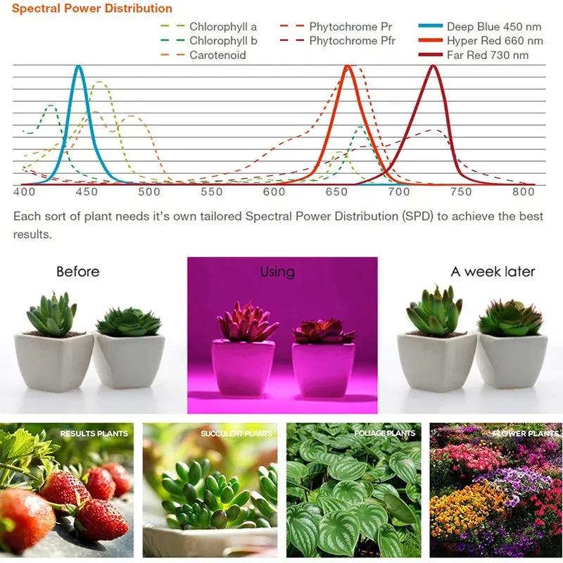 LED Full Spectrum Growth Bulb