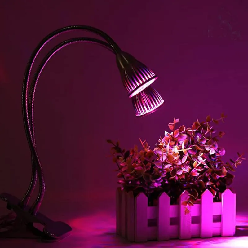 LED Grow Lights for Indoor Plants
